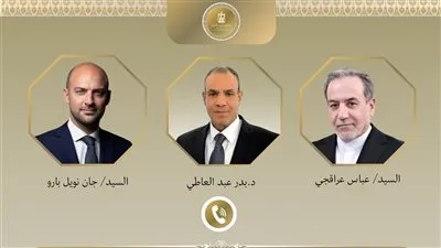 جهود مصرية متواصلة لخفض التصعيد بالمنطقة