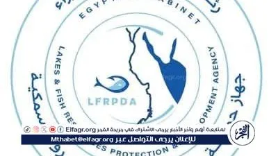 عاجل- جهاز حماية وتنمية البحيرات ينفي شائعات مصادرة أدوات صيد الهواة وفرض غرامات مالية