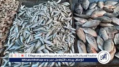 أسعار السمك اليوم الجمعة 23-1-2026 في محافظة الأقصر