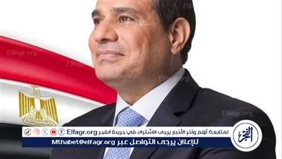 قرارات جمهورية لتعزيز الشراكات التعليمية الدولية ودعم التعليم العالي في صعيد مصر