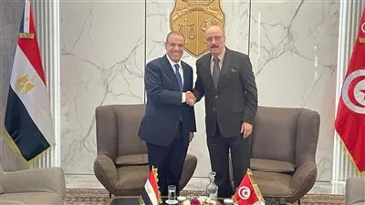 مباحثات بين وزير الخارجية ونظيره التونسي