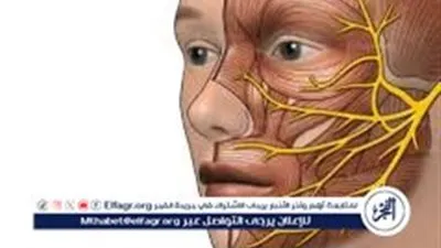 شلل العصب السابع.. الأسباب والأعراض وطرق العلاج الفعّالة