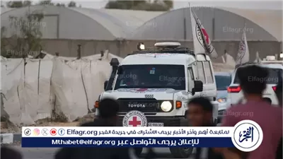 الصليب الأحمر: على العالم التحرك لتحسين الأوضاع 