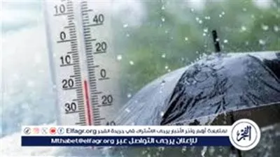 حالة الطقس اليوم السبت 31 يناير 2026.. ارتفاع درجات الحرارة ونشاط رياح على عدة مناطق