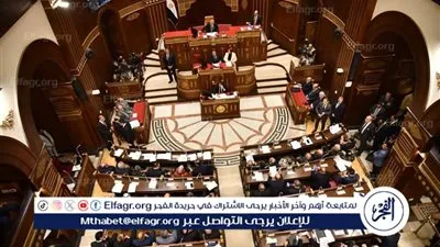 مجلس الشيوخ يناقش سياسة الحكومة بشأن تنظيم استخدام الأطفال للهاتف المحمول