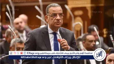 النائب محمود مسلم يستعرض أمام 