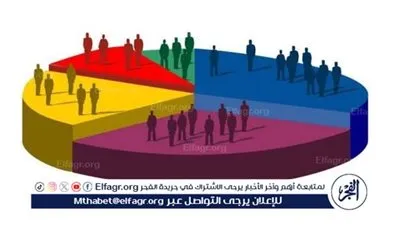 خبير سكاني: تعداد 2027 أهم عملية معلوماتية للدولة خلال العقد المقبل (فيديو)