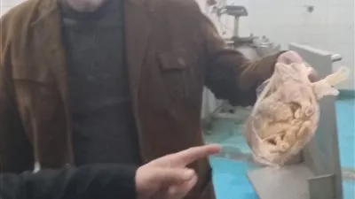 ضبط لحوم ودواجن غير صالحة للاستهلاك الآدمي خلال حملة بيطرية بشبين القناطر