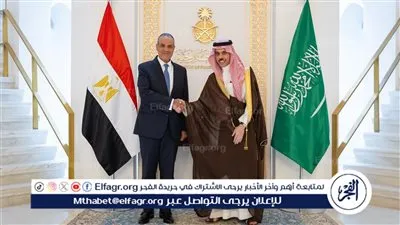 عاجل| وزير الخارجية ونظيره السعودي يؤكدان أهمية احتواء التوتر ومنع التصعيد بالمنطقة 