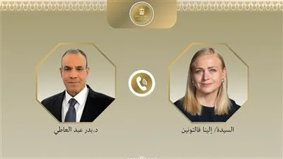 اتصال هاتفى بين وزير الخارجية ونظيرته الفنلندية