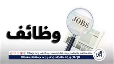 مرتبات حتى 9 آلاف جنيه.. وزارة العمل تعلن عن 200 وظيفة مراقب أمن في 6 محافظات