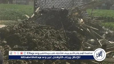 إزالة 14 حالة تعدي فى أسيوط 