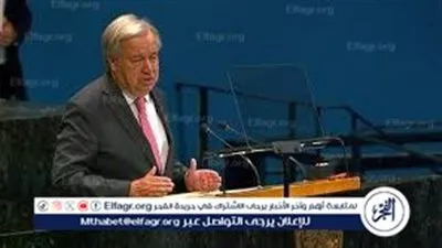 الأمم المتحدة تؤكد.. حل الدولتين الطريق الوحيد لغزة جزء لا يتجزأ من الدولة الفلسطينية