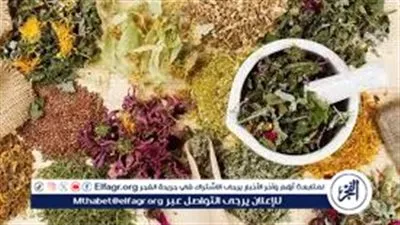 وصفات طبيعية لتكثيف الشعر وتحفيز نموه حسب نوعه