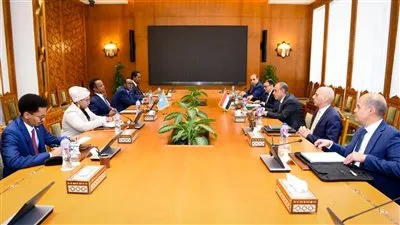 مشاورات مصرية - صومالية لدعم الشراكة الاستراتجية بين البلدين