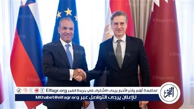 مباحثات مصرية سلوفينية لتوسيع التعاون في الموانئ والطيران والعمالة الماهرة (تفاصيل)