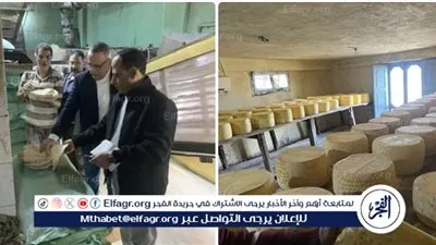 محافظ الدقهلية: ضبط أكثر من 3 طن جبن رومي وملح وردة ومكرونة مجهولة المصدر وتحرير 191 مخالفة