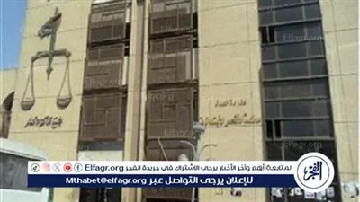 جنايات الأقصر تقضى بالسجن 3 سنوات لجزار ذبح حمار وباع لحومه للمواطنين بأرمنت