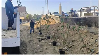 رفع المخلفات بشارع عياد بمنطقة الزرايب ودعم الطريق بأعمدة الإنارة والزراعات بالجيزة