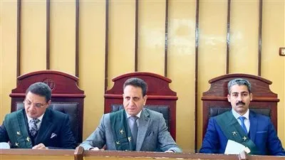 الحكم بالسجن 4 سنوات لبائع بتهمة التعرض لطفلة وخدش حيائها بدائرة الزهور