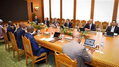 مباحثات مصرية سنغالية لتعزيز الشراكة الاستراتيجية ودعم جهود التنمية والاستقرار في القارة الأفريقية