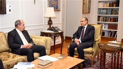 وزير الخارجية يستقبل رئيس الجامعة البريطانية في مصر