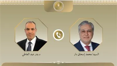 وزيرا الخارجية المصرى والباكستاني يبحثان المستجدات فى غزة والتطورات الاقليمية