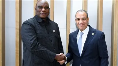 وزير الخارجية يلتقي نظيره الجامبي لبحث سبل تعزيز العلاقات الثنائية