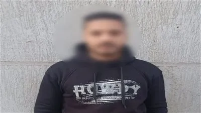 ضبط قائد سيارة نقل بالدقهلية بعد تعديه على سائق توك توك بسبب أولوية المرور