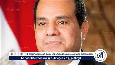 وزير الخارجية يكشف عن رؤية الرئيس السيسي لتحقيق الأمن والاستقرار في إفريقيا 