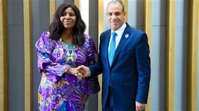 وزير الخارجية يلتقي مفوضة الشئون الاقتصادية والتجارة والسياحة والصناعة والمعادن بالاتحاد الأفريقي