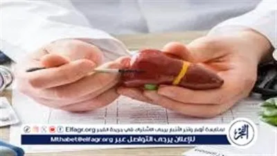 متى يكون ارتفاع إنزيمات الكبد خطيرًا؟.. إليك العلامات والأسباب والإجراءات الوقائية