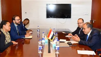 وزير الخارجية يبحث مع مديرة الآلية الأفريقية لمراجعة النظراء دعم الإصلاح المؤسسي بالقارة