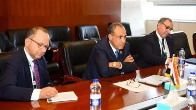 وزير الخارجية يؤكد أهمية القطاع الخاص في تحقيق التنمية المستدامة في إفريقيا