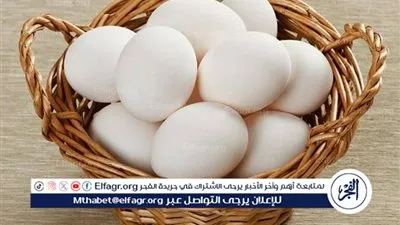 اسعار البيض اليوم الجمعه 13 فبراير 2026 فى اسواق ومحال المنيا