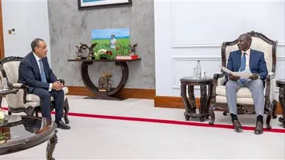 الري: وزير الخارجية يسلم رسالة خطية من رئيس الجمهورية للرئيس الكيني