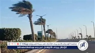الأرصاد تحذر: رياح قوية وأتربة مثارة تصل سرعتها إلى 40 كم/س في مناطق متفرقة من مصر