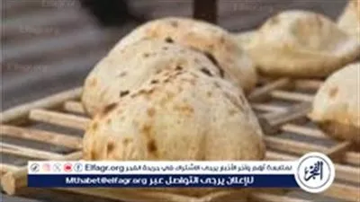 تعرف على مواعيد عمل المخابز البلدية وصرف منحة رمضان 2026