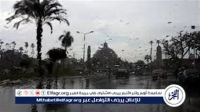 مركز معلومات المناخ يحذر: موجة برودة نادرة تخفض الحرارة 6 درجات عن المعدلات وتُربك القطاع الزراعي