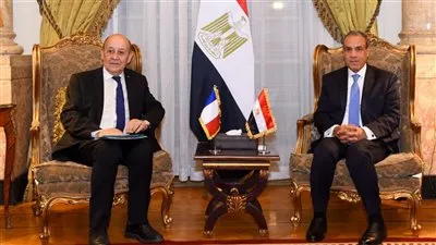 وزير الخارجية يلتقي المبعوث الشخصي للرئيس الفرنسي للبنان