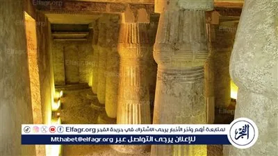 مديرة المتحف المصري ببرلين: نعتمد نهجًا تقدميًا لإبراز عراقة الفن المصري وتقديم سرد متكامل لتاريخه