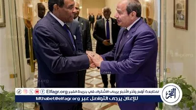 السيسي يؤكد دعم استقرار السودان ووحدة أراضيه ويشدد على تنسيق المواقف لحماية حقوق الشعبين في ملف المياه