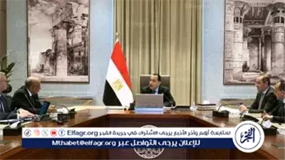 وزير البترول: التعاقد على شحنات الغاز الطبيعي المسال من مصادر متنوعة لتعزيز أمن الطاقة