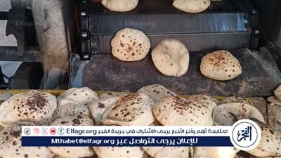 حملات مكثفة بالفيوم تسفر عن تحرير 75 مخالفة تموينية 