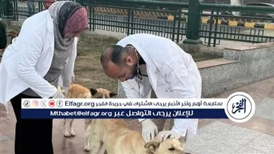 بيطري المنيا يواصل تنفيذ الحملة القومية لمكافحة السعار