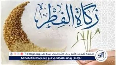كم تبلغ زكاة الفطر 2026 في مصر؟.. الإفتاء توضح القيمة وموعد إخراجها