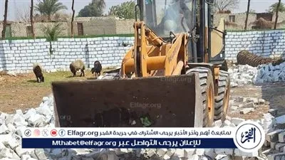 إزالة 9 حالات تعدٍ على الأراضي الزراعية بمركزي الفشن وبني سويف