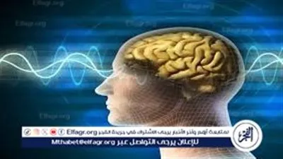 هل الصيام يوقف عمل الدماغ؟.. المركز القومي للبحوث يوضح الحقائق العلمية حول العطش والتركيز في رمضان