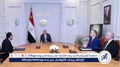 عاجل- الرئيس السيسي لوزير البترول: توطين التكنولوجيا الحديثة لتعزيز إنتاجية النفط والغاز
