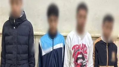 كشف حقيقة التعدى على كلب بالسويس.. وضبط سيدة لفبركة الواقعة بهدف جمع تبرعات 